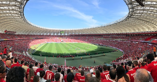国在国际冬