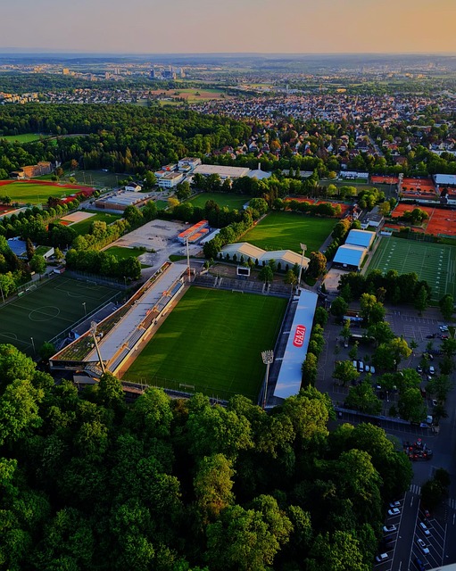 的交锋中 的交锋中