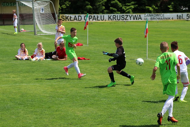 何塞卢出售 何塞卢出售