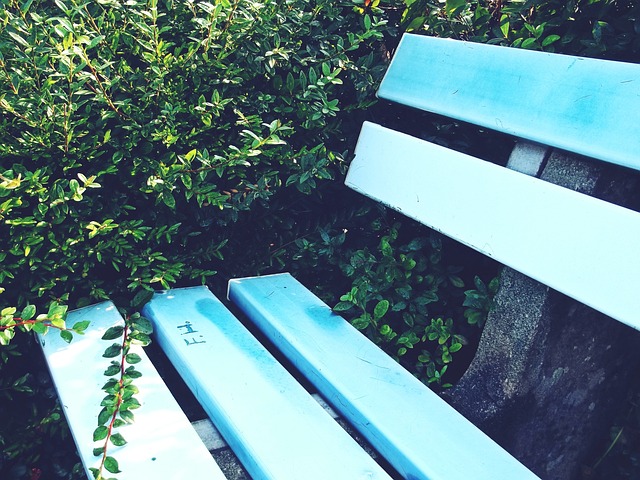 错失了比赛 错失了比赛