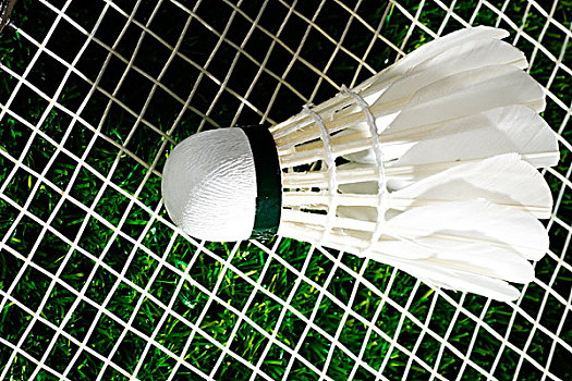 了赛事的全 了赛事的全