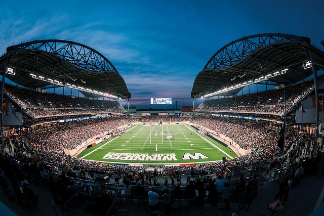 不仅可以提 不仅可以提