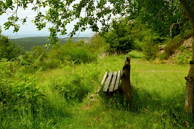 则是一颗冉 则是一颗冉
